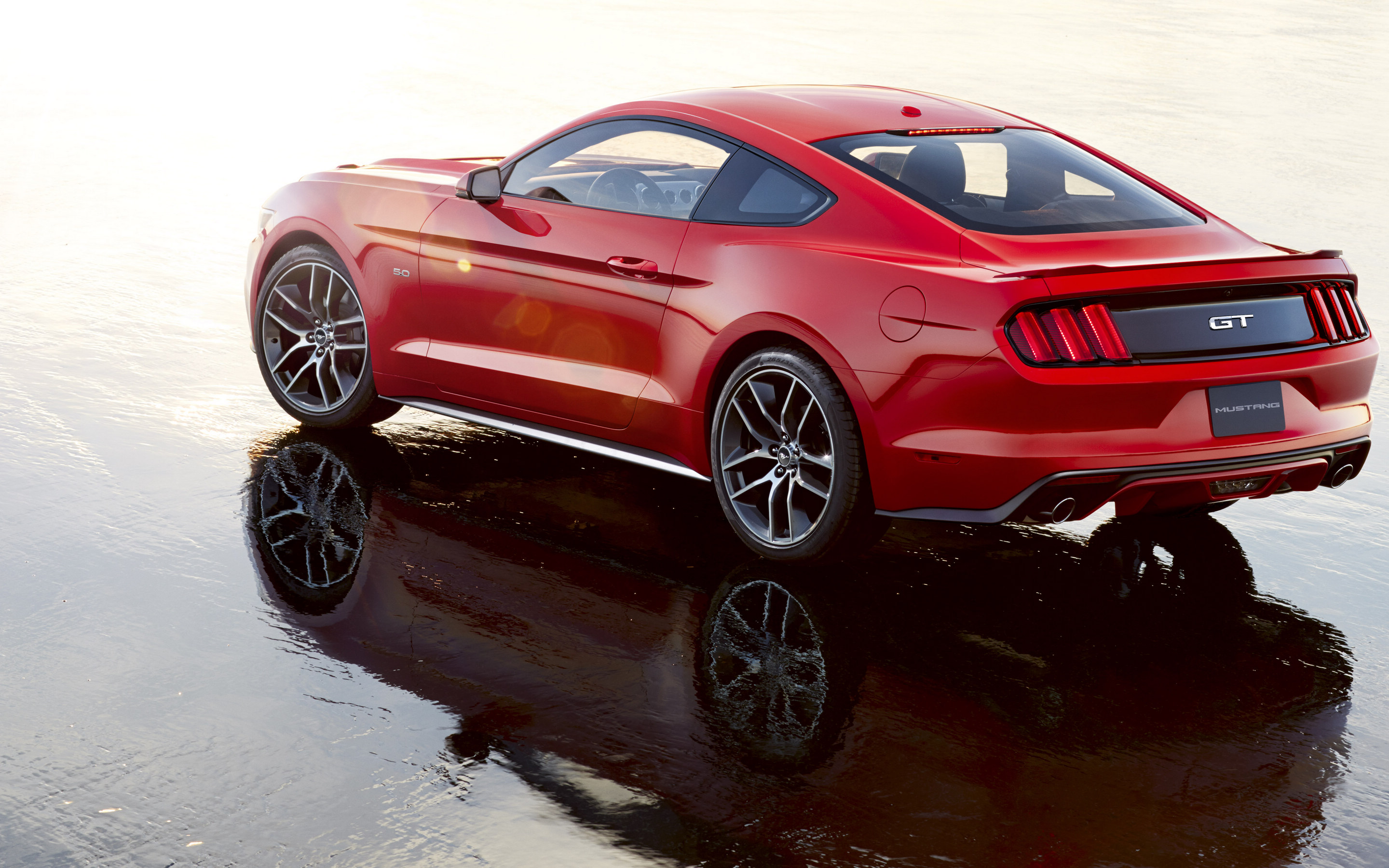 身份信息核对完毕,主控制系统启动成功