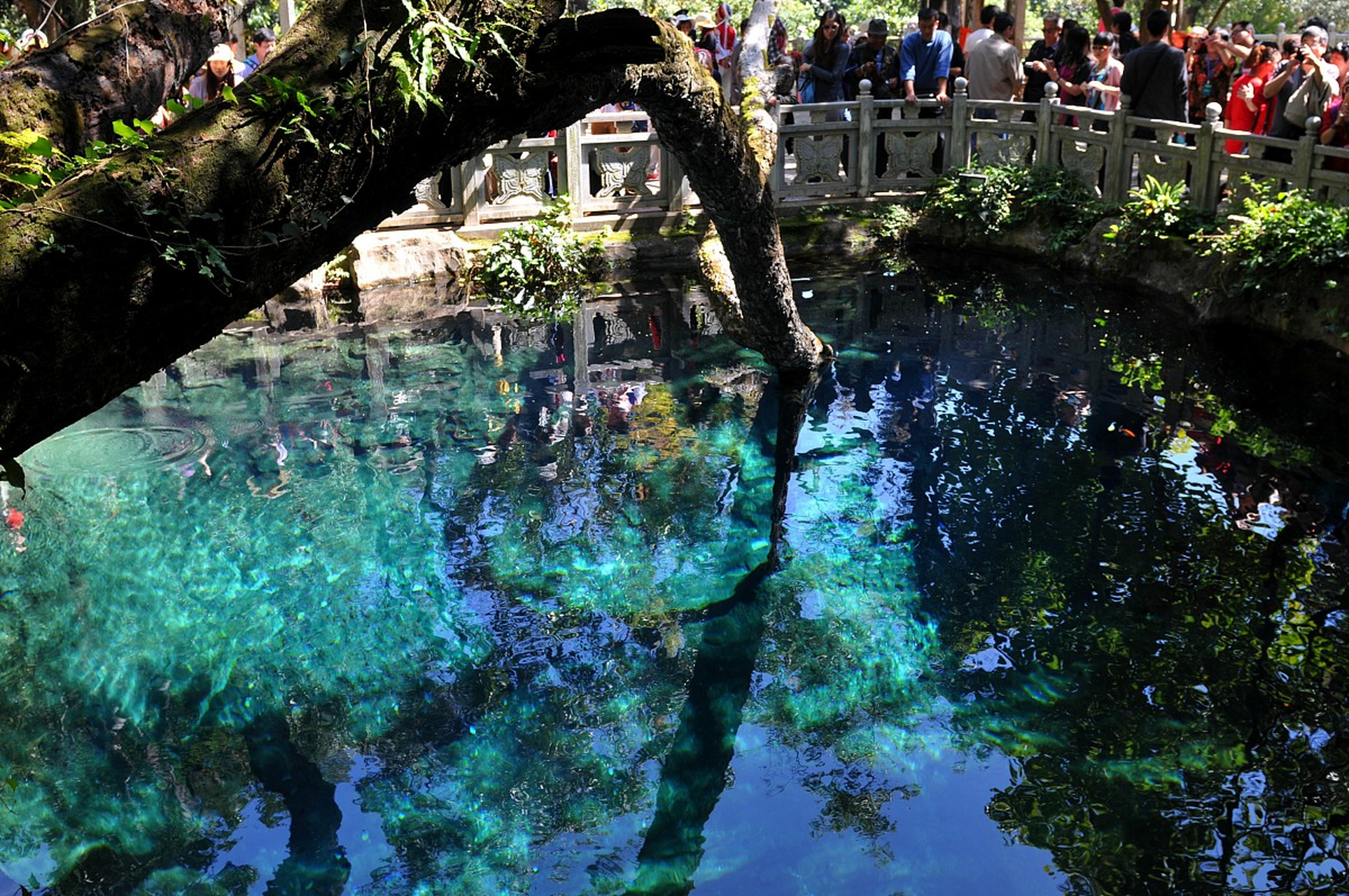 穿越时空的旅行# 大理蝴蝶泉,位于云南省大理市的一处自然景观,以其