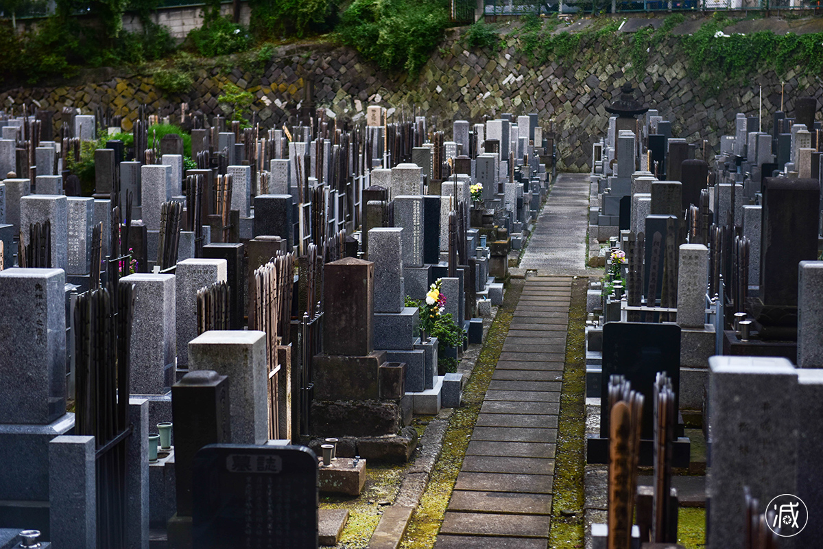 在寸土寸金的东京 人们竟把墓地建在市中心
