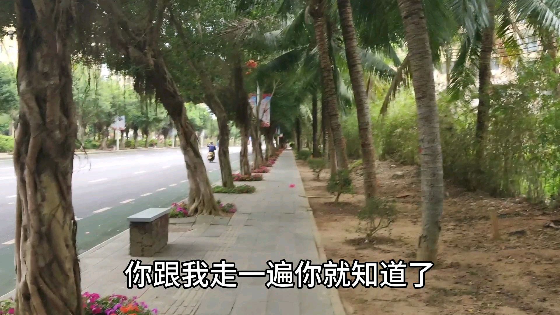 为啥把海南博鳌镇称为天堂小镇呢?看下它的街道和菜市场就明白了