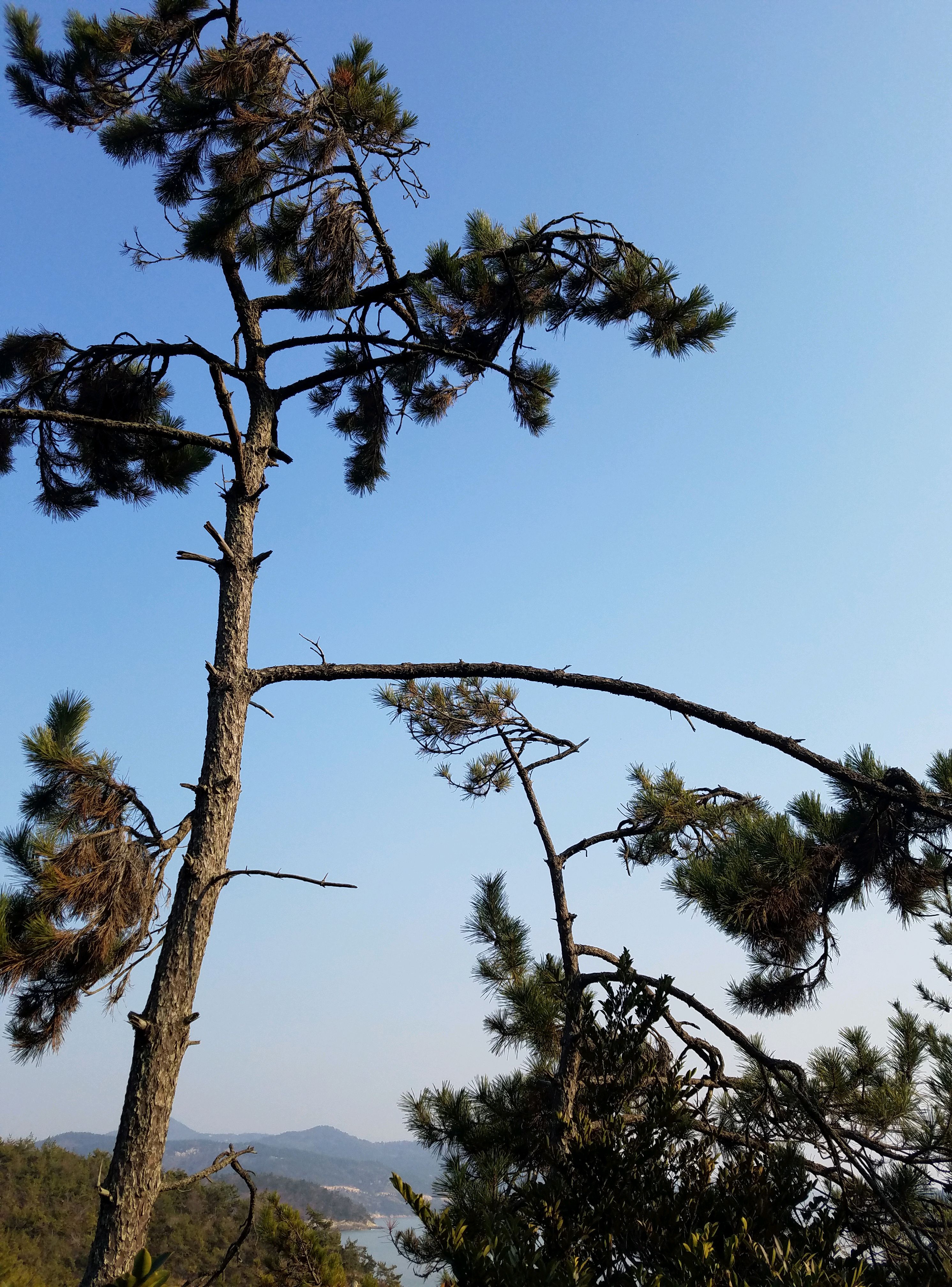 一路风景《韩国风光》