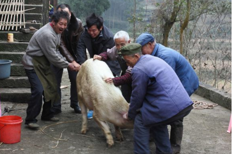 过年杀猪才能玩到的猪尿泡,农村人才知道,现在无人识