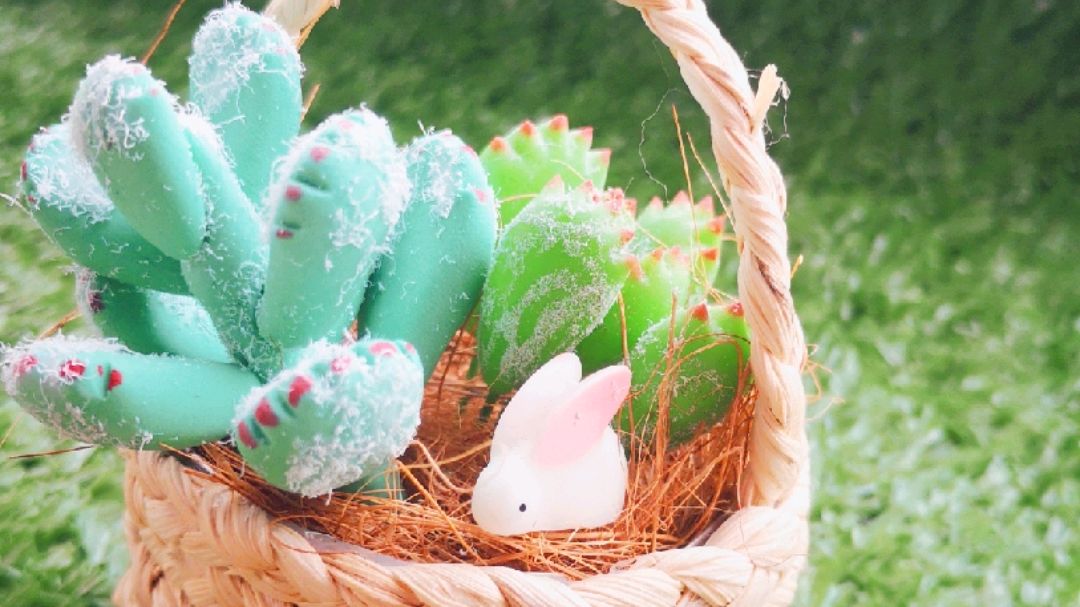 超轻粘土制作多肉植物月兔耳