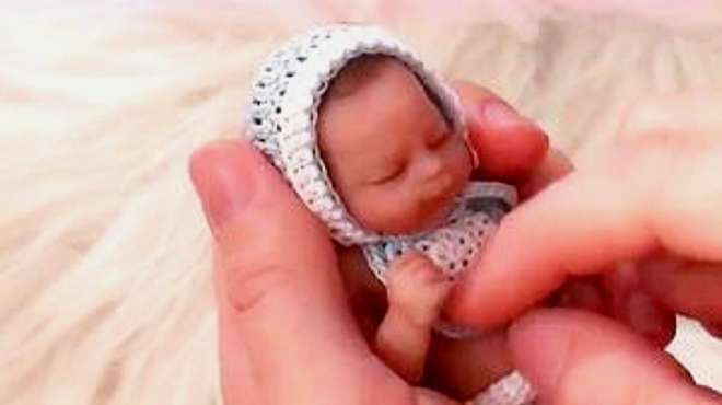 [图]全球最小的可爱“萌娃”，5个婴儿还没巴掌大，让人心都被萌化了