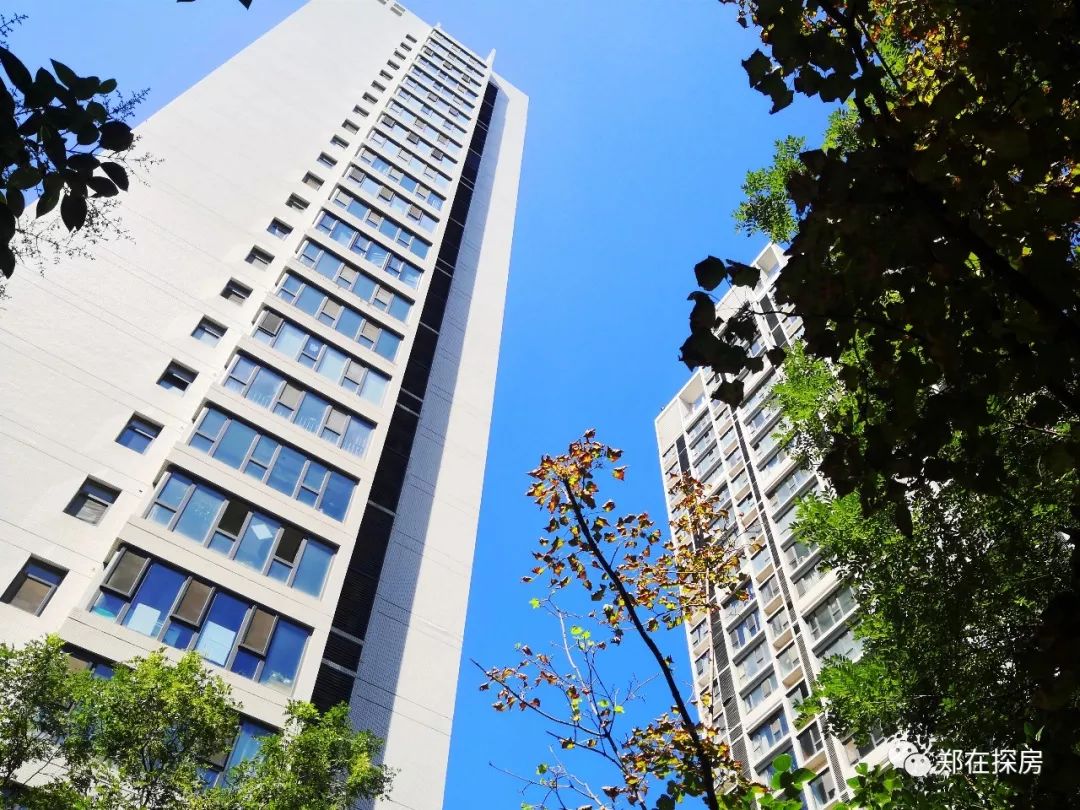 永威东棠——那个美丽的小区