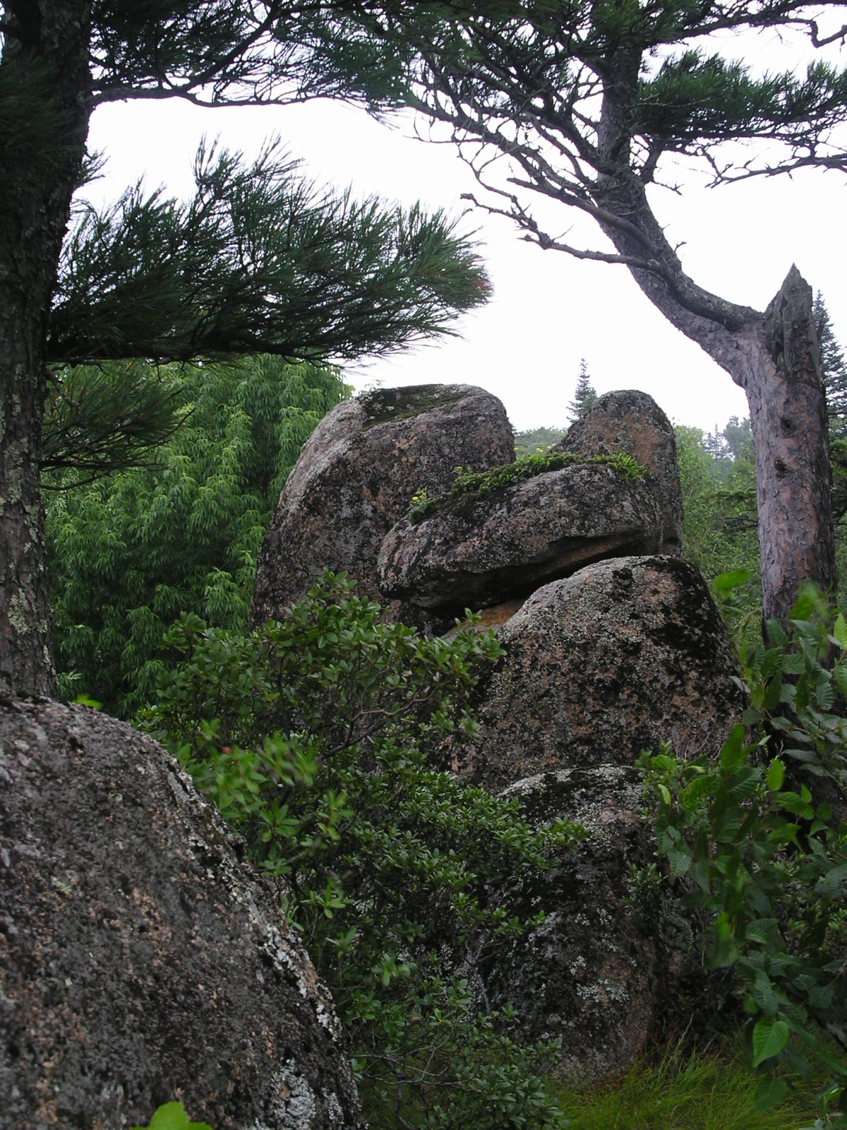 盘点湖南·娄底的著名景点,从你所熟知的龙山森林公园谈起