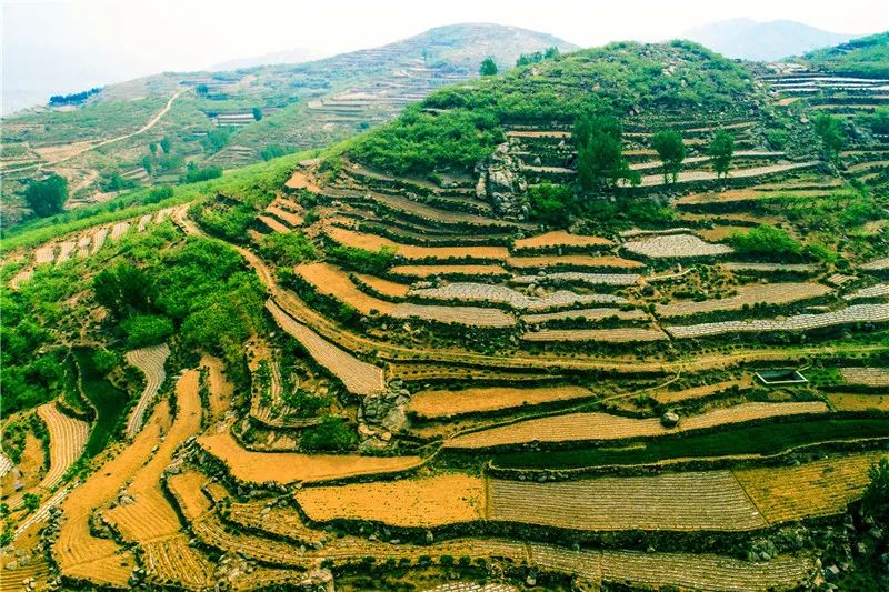 平邑临涧这个地方,从一穷二白的小山村变身为国家2a级景区