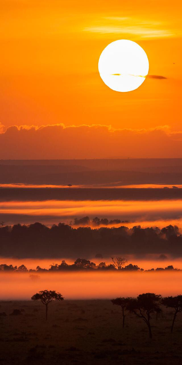 不要总是埋头苦干,偶尔也抬头看一看远处的风景