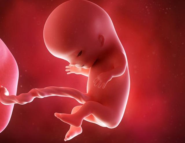 怀孕后,胎宝宝在妈妈肚子里干啥呢?这几种解答或许让你很暖心!