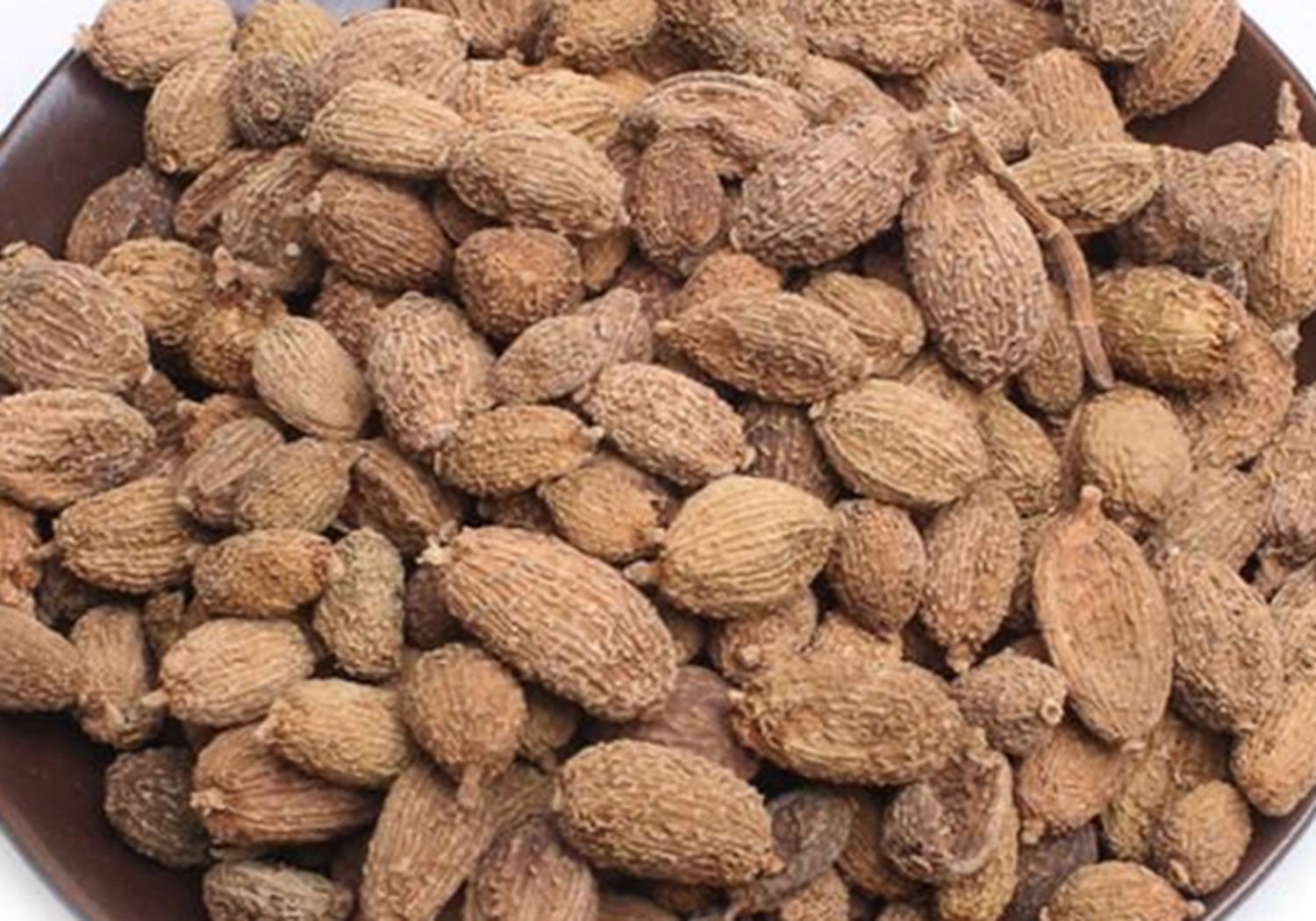 阳春砂 - 热门商品专区