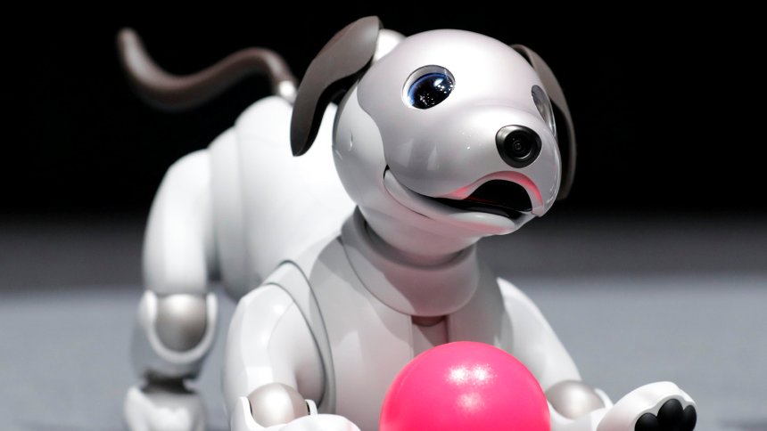 连姨夫也爱不释手,aibo机器狗智能到内伤!