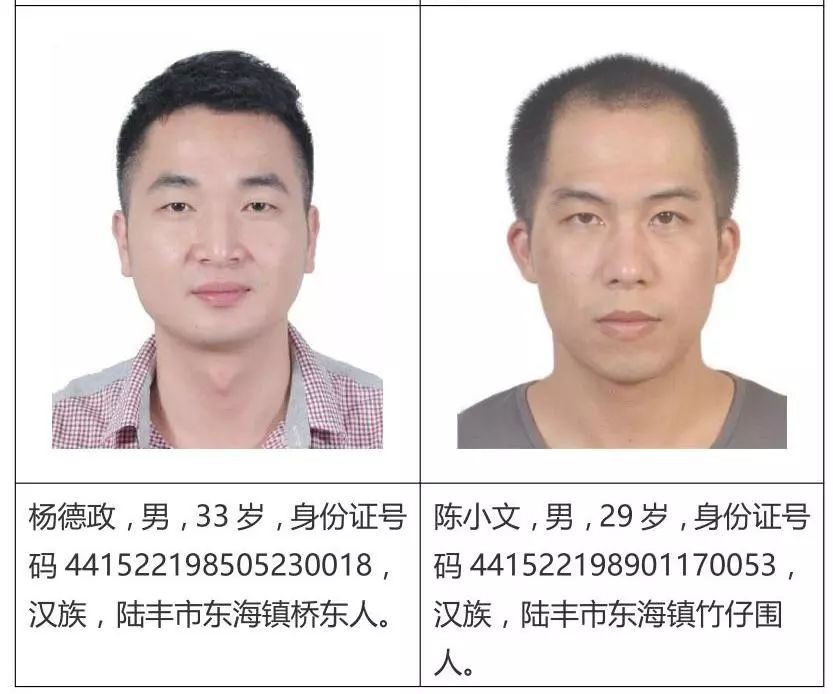 关于检举揭发杨淡科等人违法犯罪行为的通告