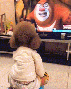 狗子都喜欢看电视吗?只要一开电视,立马就守在电视机前面了!