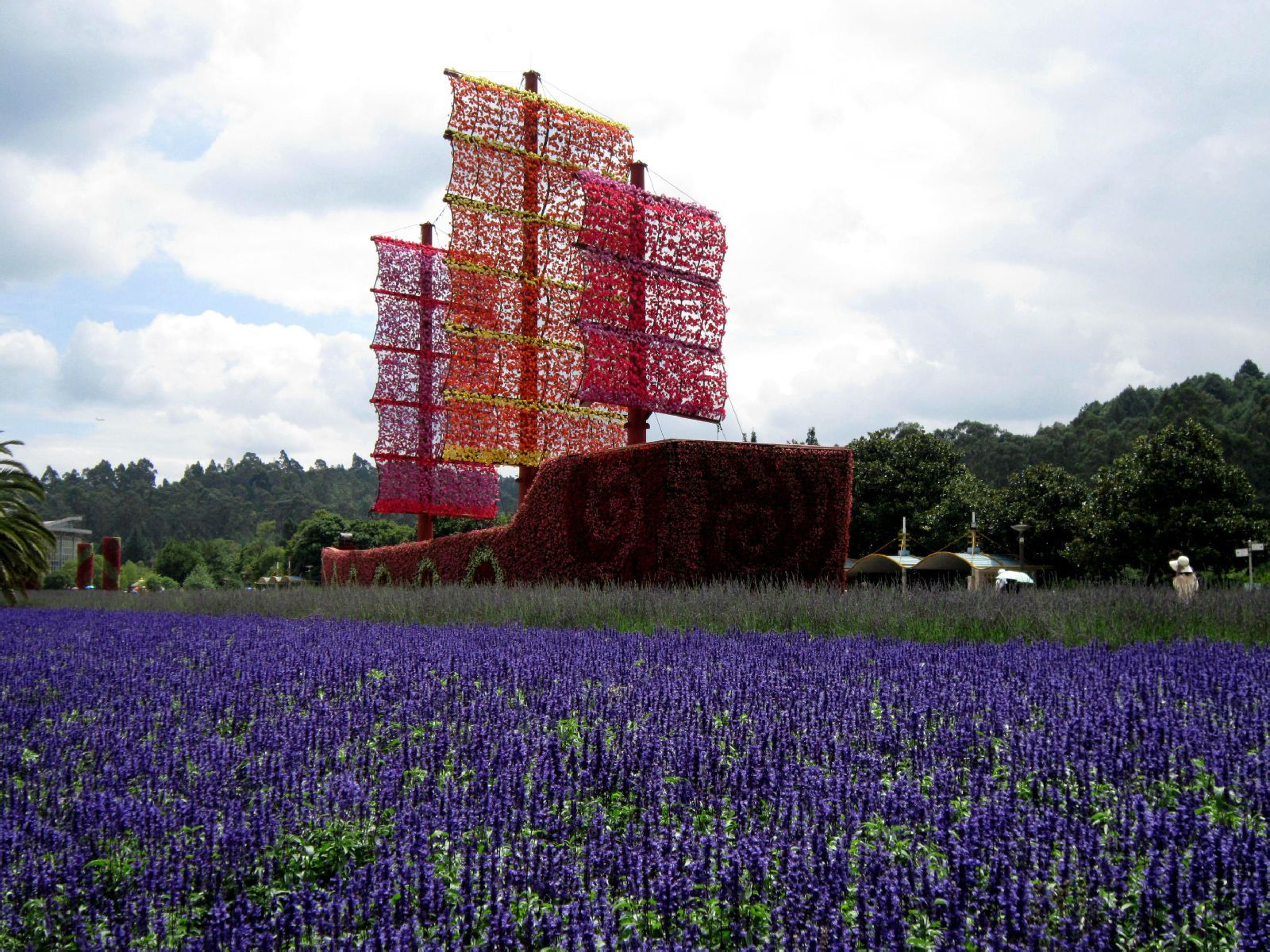 除了上海植物园,昆明世博园,花卉种类繁多的知名旅游休闲场所原来还有