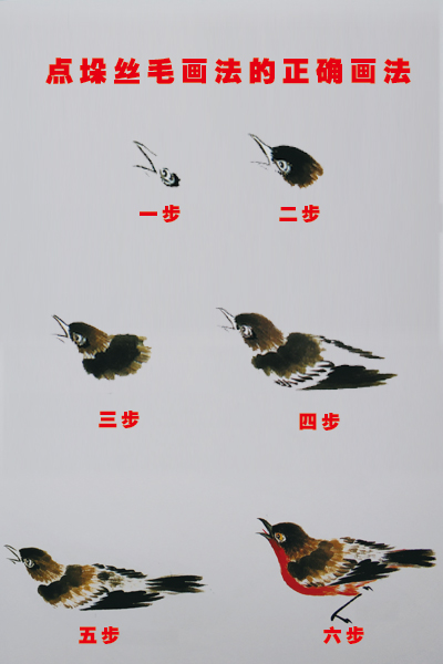 中国画鸟的基本结构画法