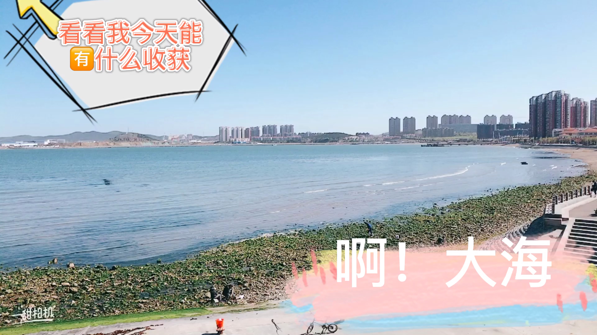 阳光与大海 海鸥与歌声