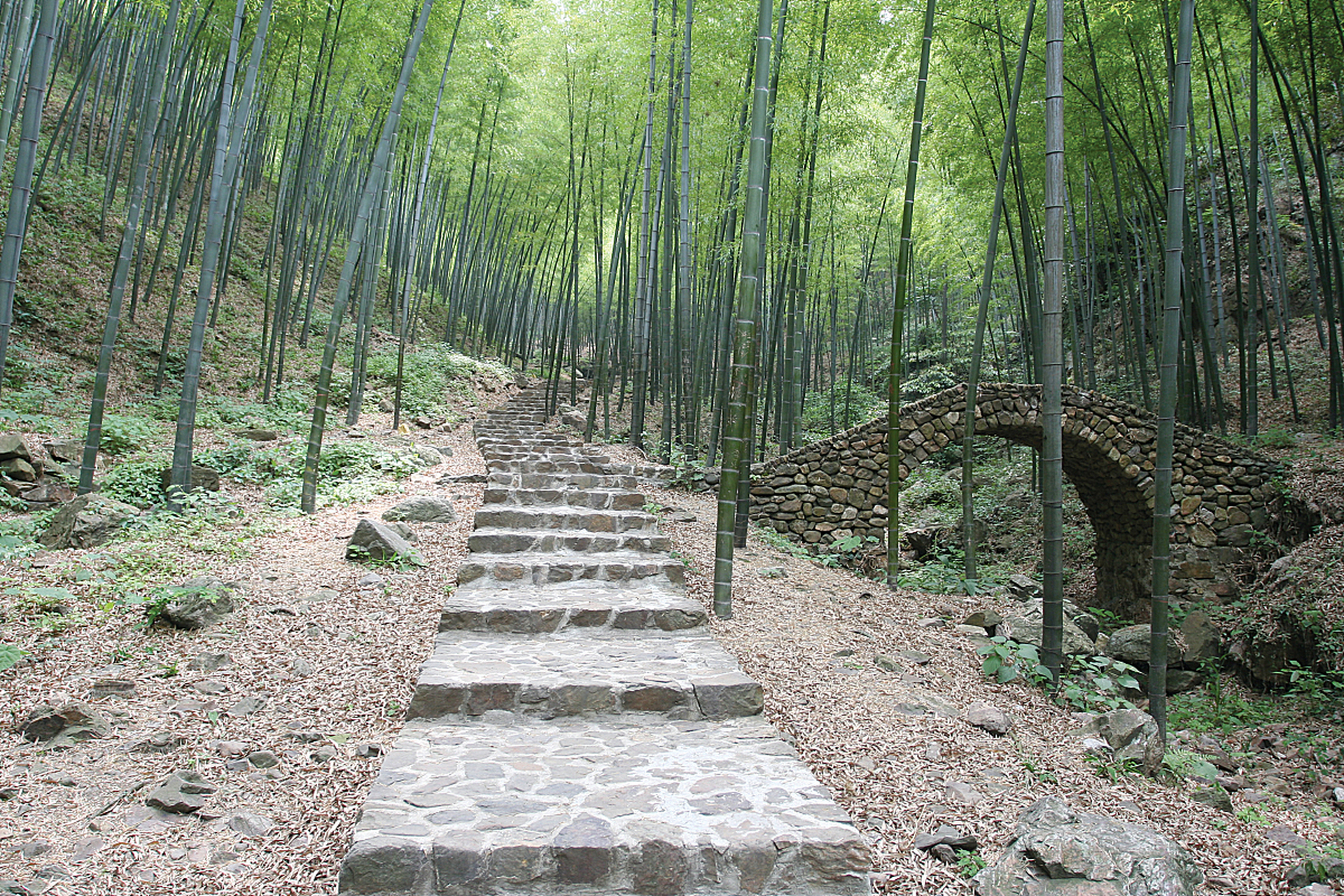 宜兴竹海景点介绍图片