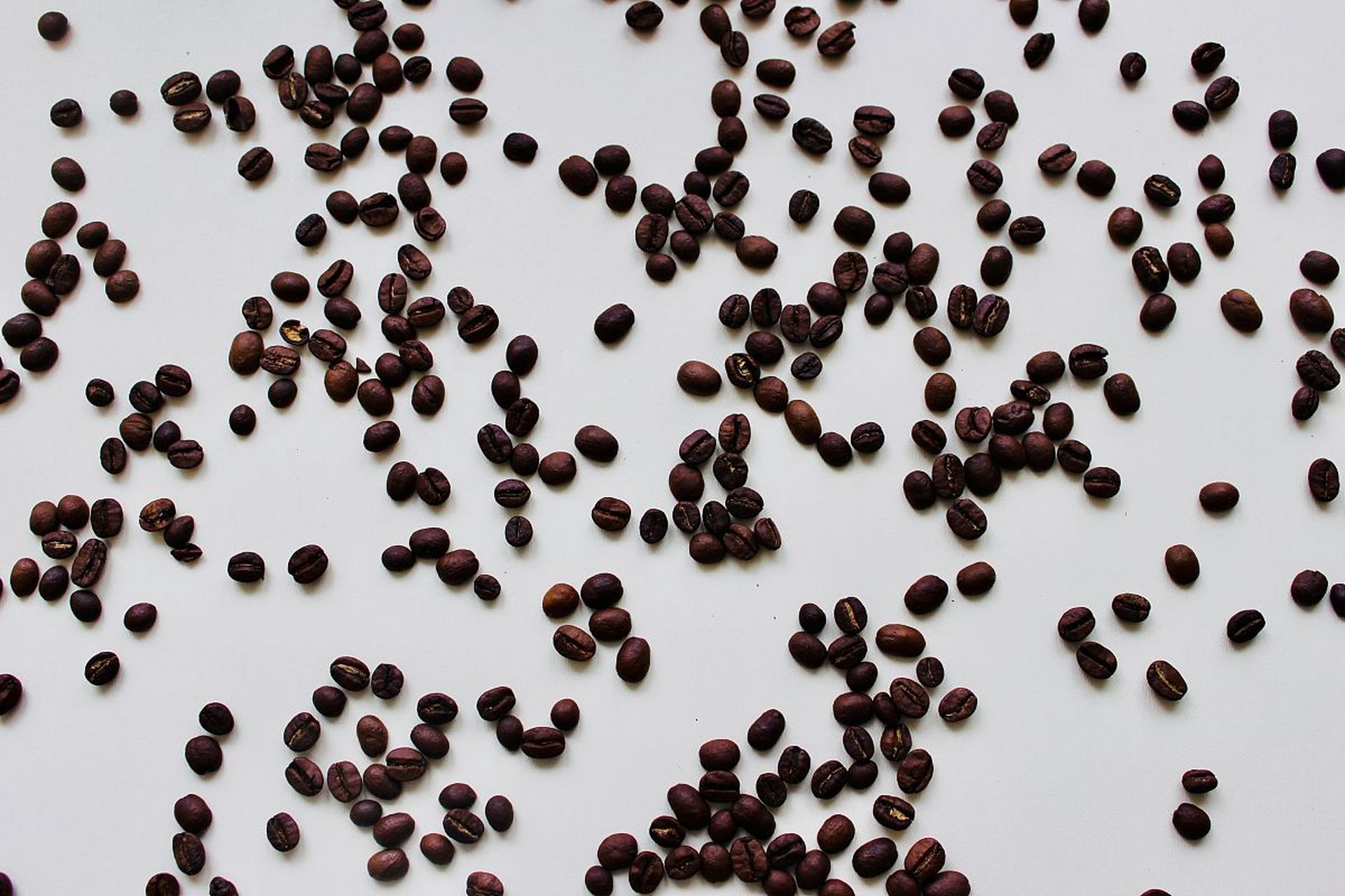 草莓种子育苗是草莓种植的重要环节,下面是草莓