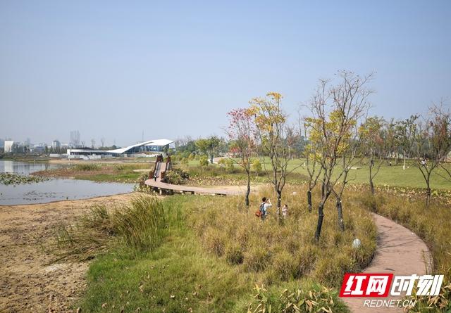 湘潭:在碧泉湖公園愛上溼地之美 忘了它曾經的模樣