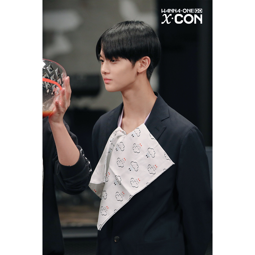 wanna one go最终话预告公开 本!放!死!守!