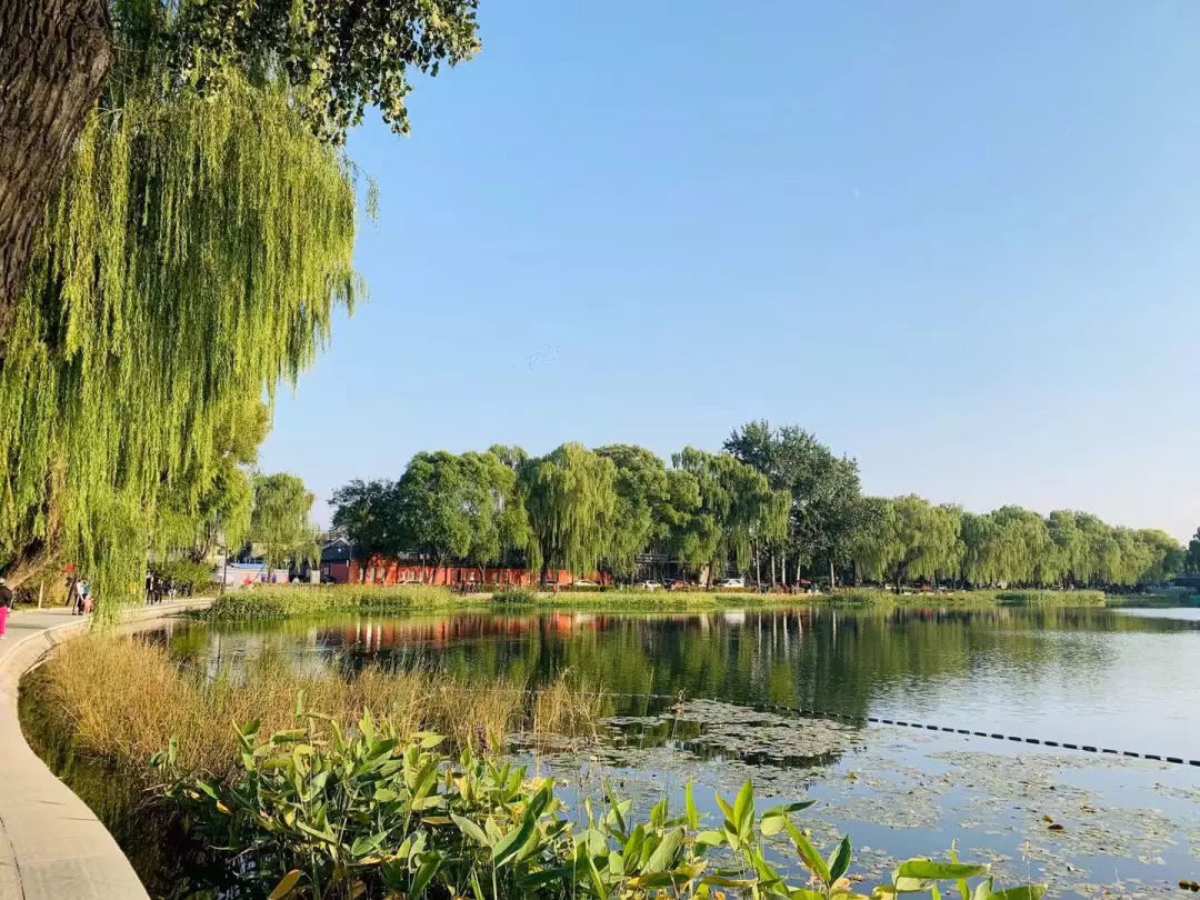 什刹海西海湿地公园 | 重现20年前湖景
