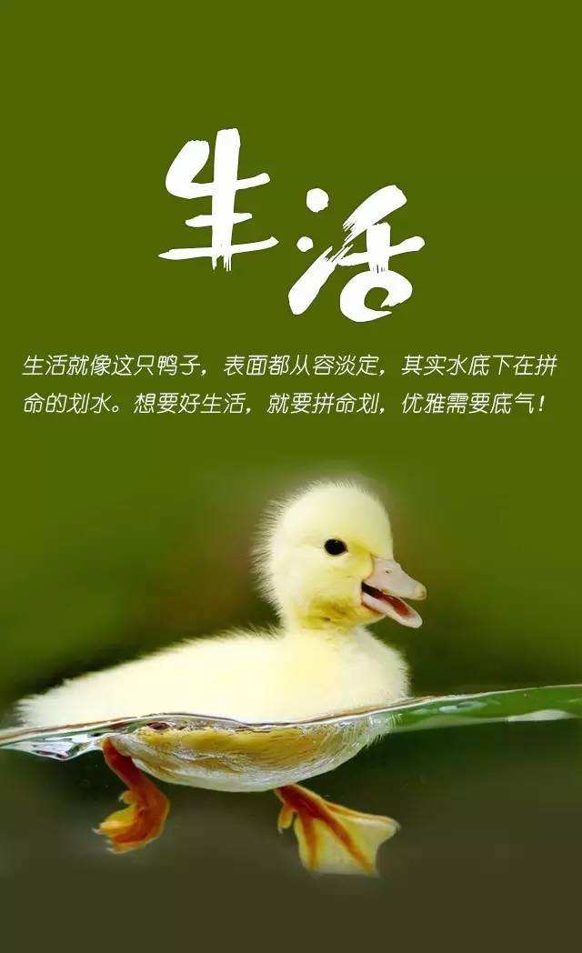 致自己很棒的正能量心灵鸡汤 唯美励志的早安心语