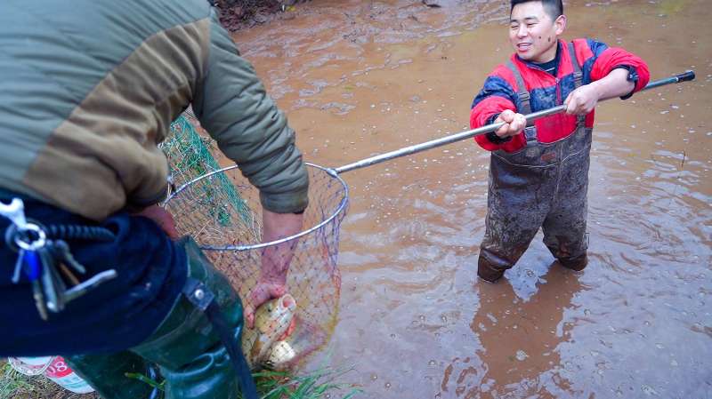 这样抓鱼太过瘾了超小厨全身装备一网下去全是大货吃着安逸