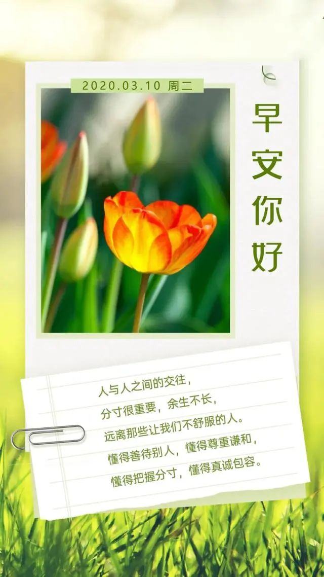 励志早安心语经典短句(励志早安心语 简短)