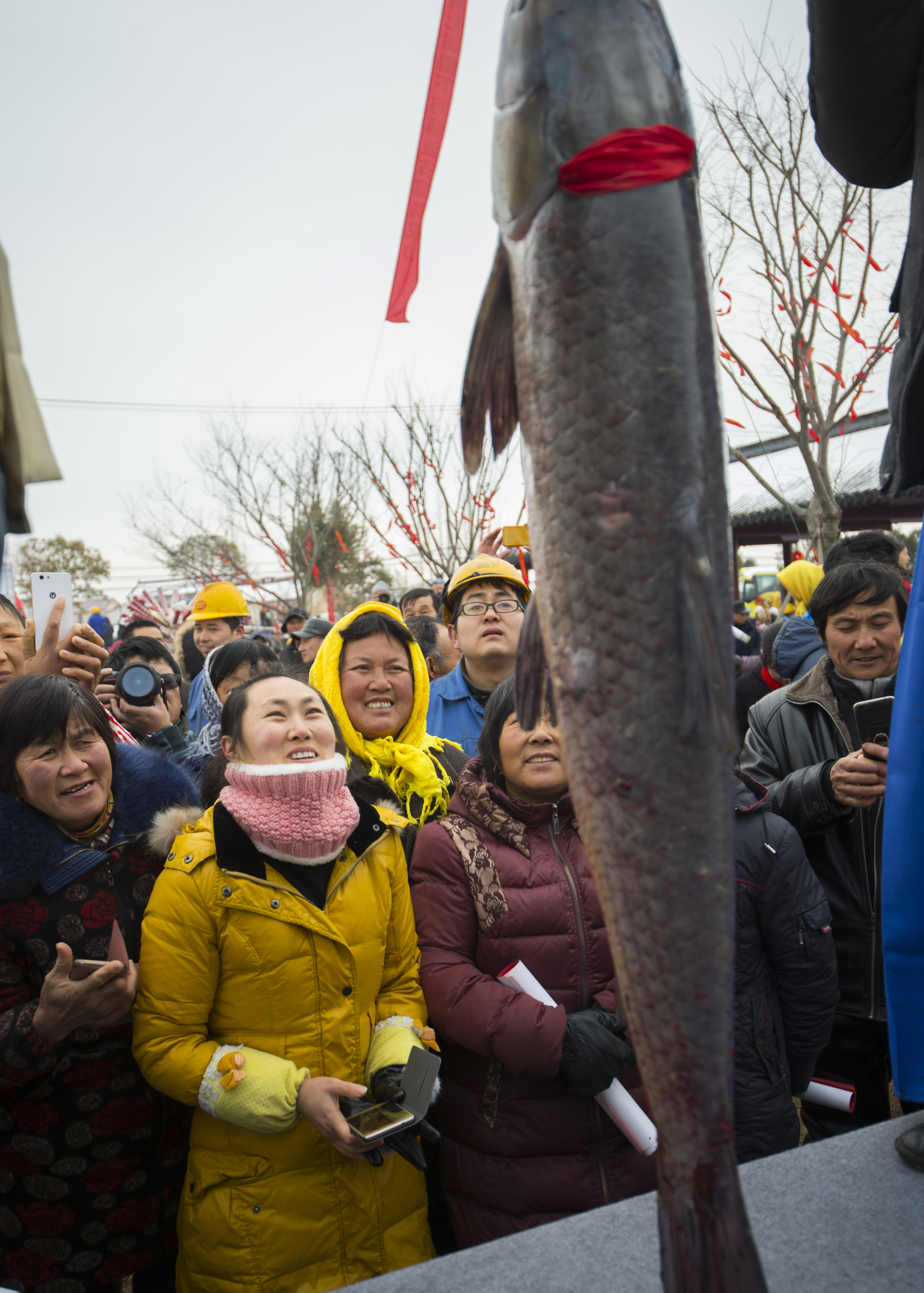 (社会)(4)江苏海安举办冬季捕鱼节