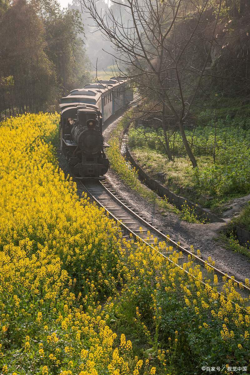 嘉阳小火车:嘉阳小火车是犍为县的一大特色景点,它是现存为数不兜的