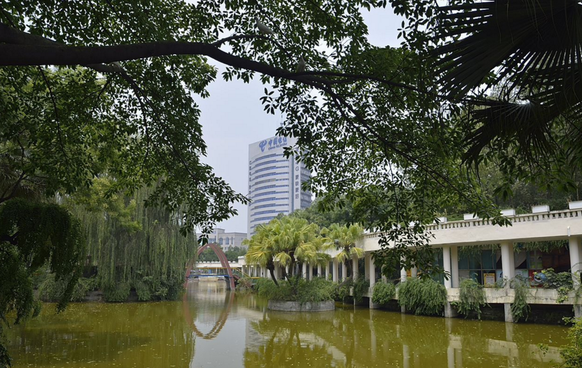 除了都江堰景区,成都新华公园,游客很多的知名旅游景点原来还有这些