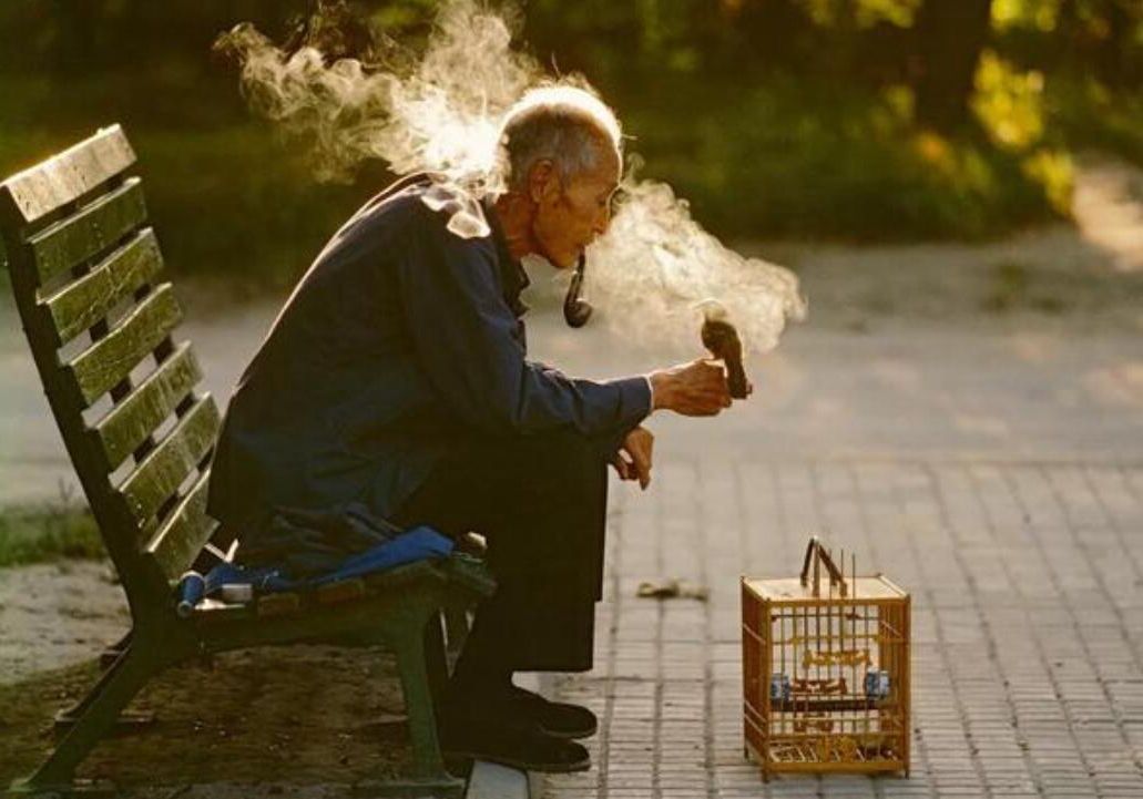 图片地点是北京日坛公园,一个老人在遛鸟,很是享受.