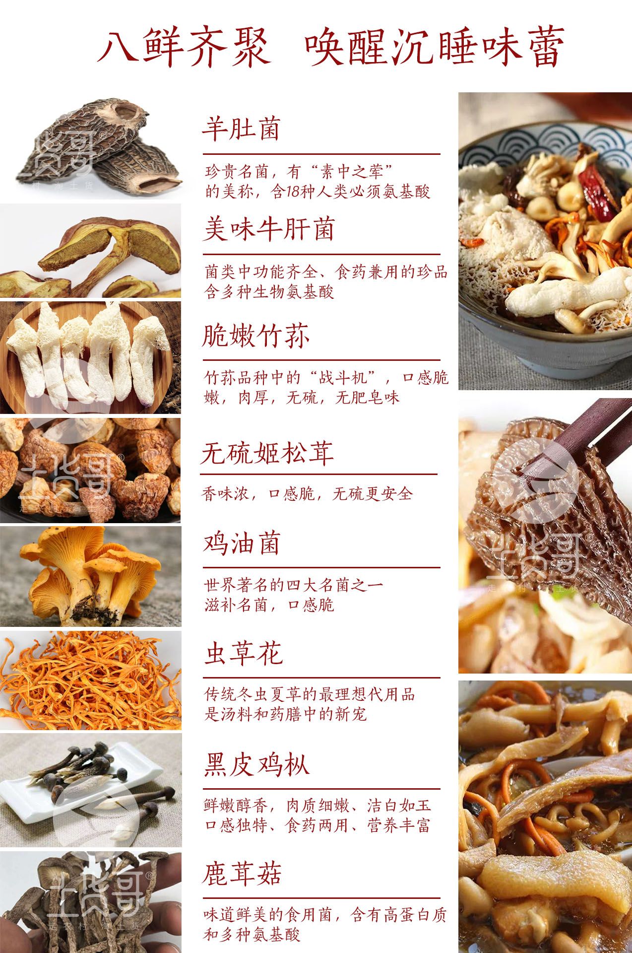 各种菌菇的营养价值