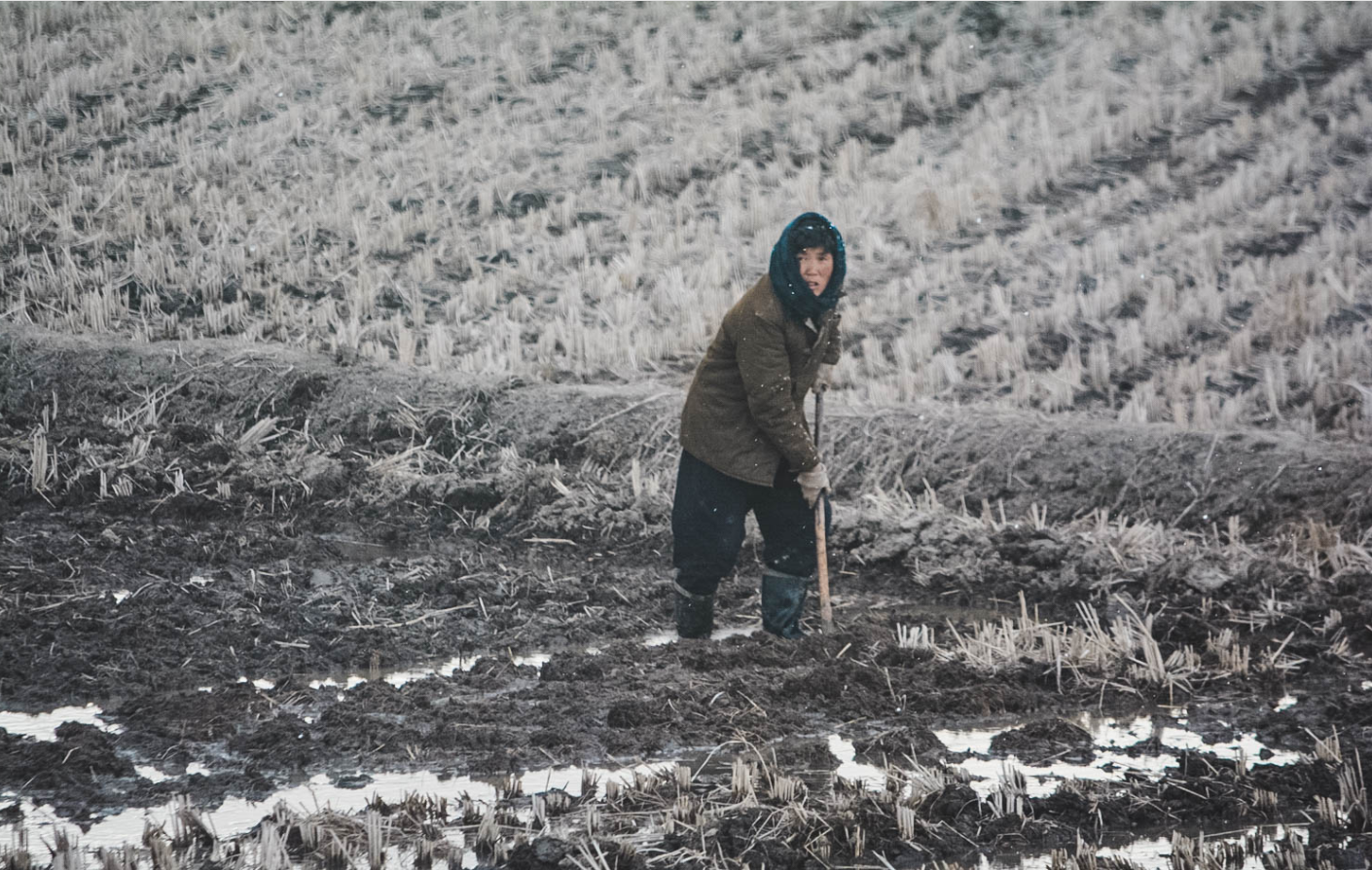 朝鲜冬日掠影:看看朝鲜百姓是如何过冬的?