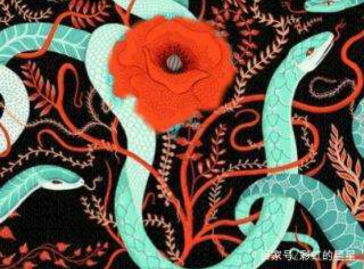 冯至的名作《蛇》,最能反映人对爱恋的深情,值得你在情人节回味