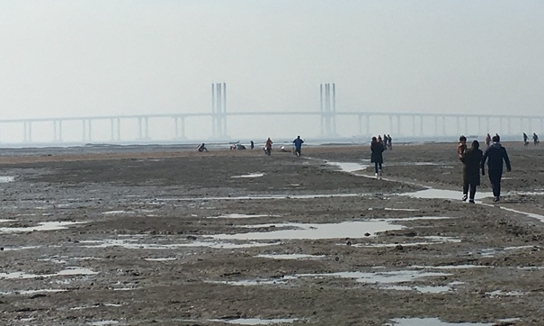 白泥地公园景色宜人,你知道这里吗?