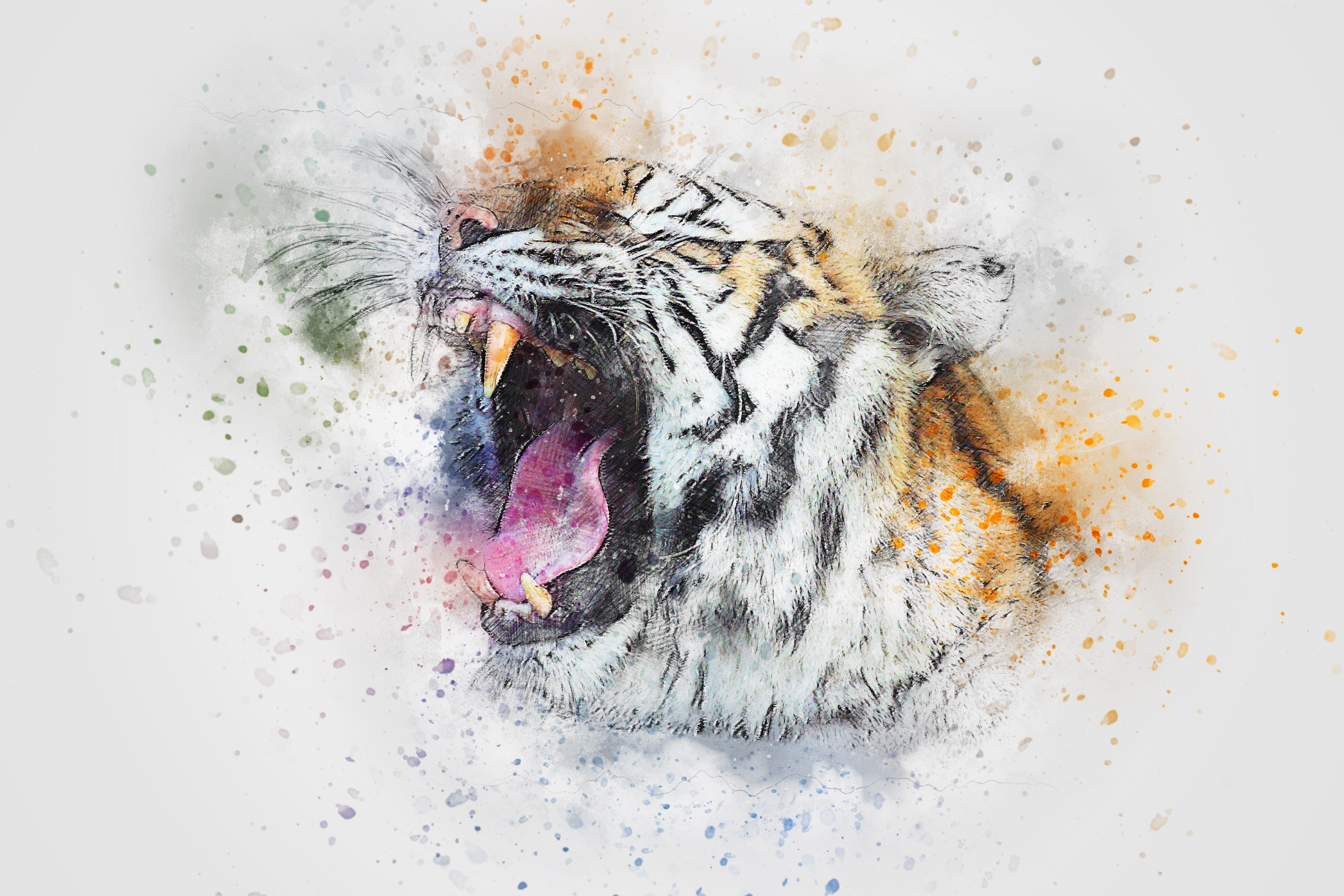 抽象艺术老虎狮子豹子高清壁纸