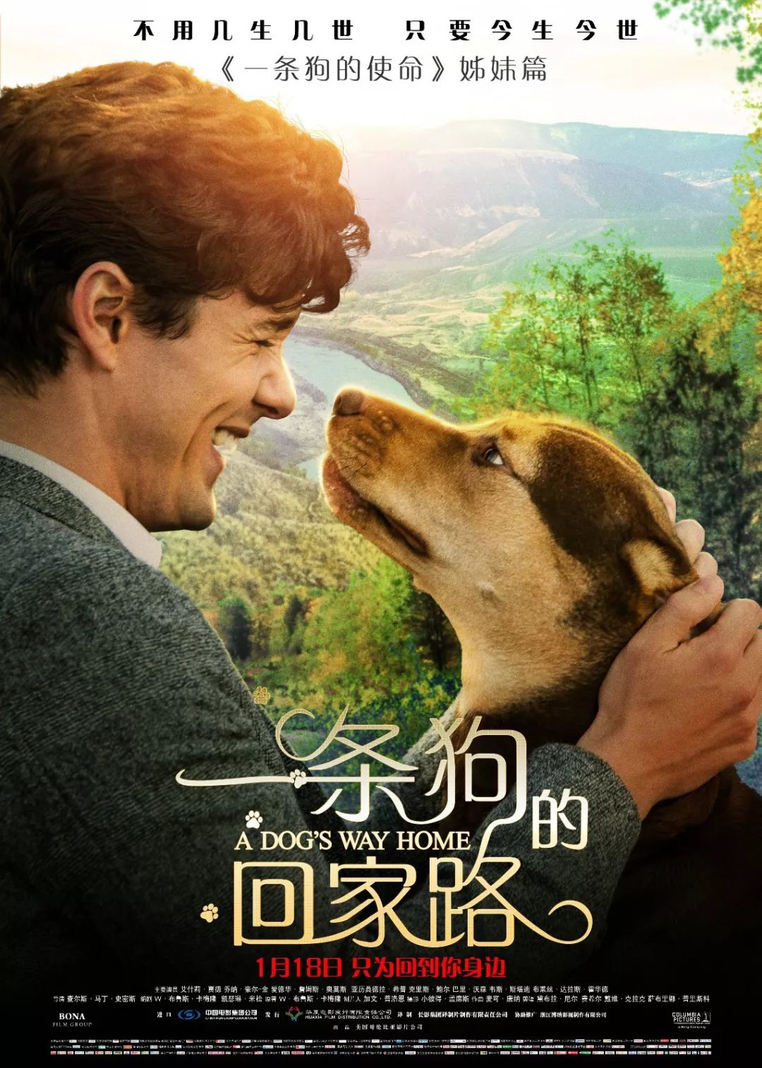 《一条狗的回家路》讲述了狗狗贝拉 穿越400公里历经700多个日夜终