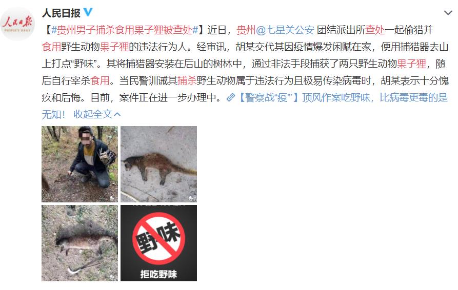 害人害己!都这个时候了,还有人顶风捕杀食用果子狸?