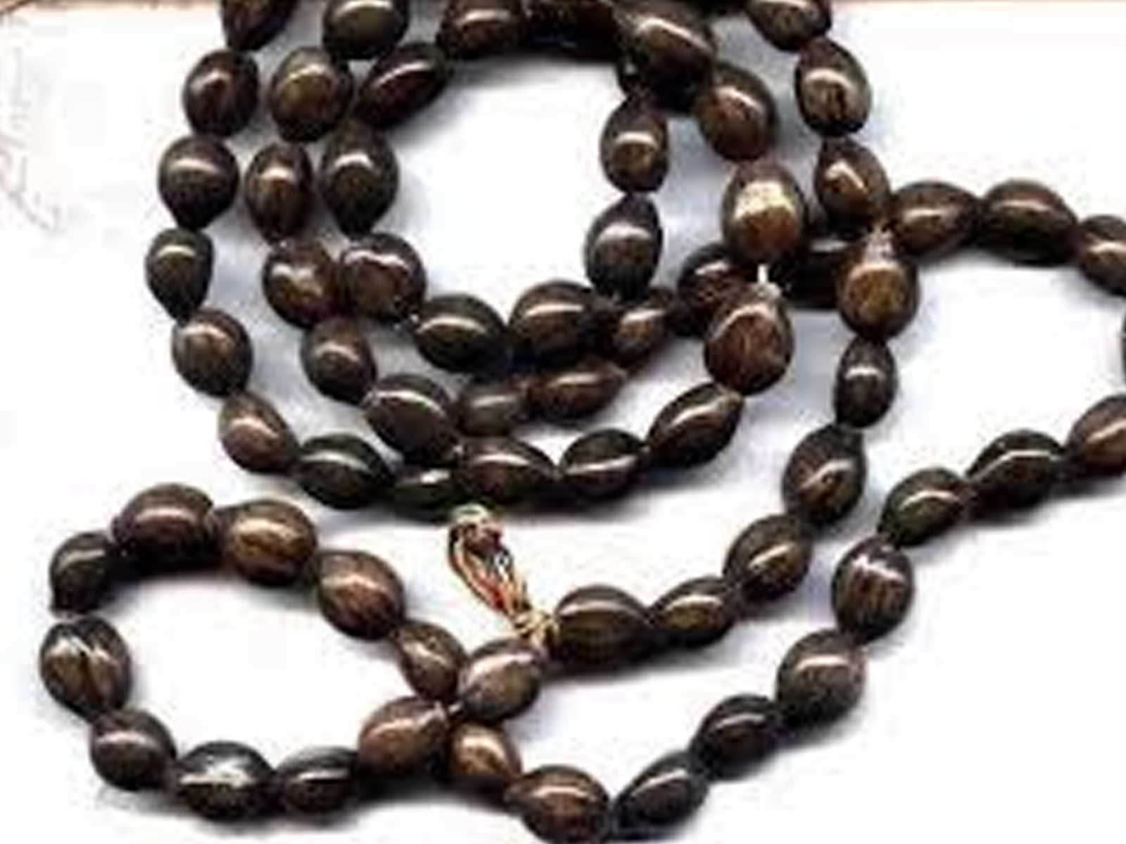 这种野草叫"尿珠子",农村孩子用来做项链,是清热利尿的中药材