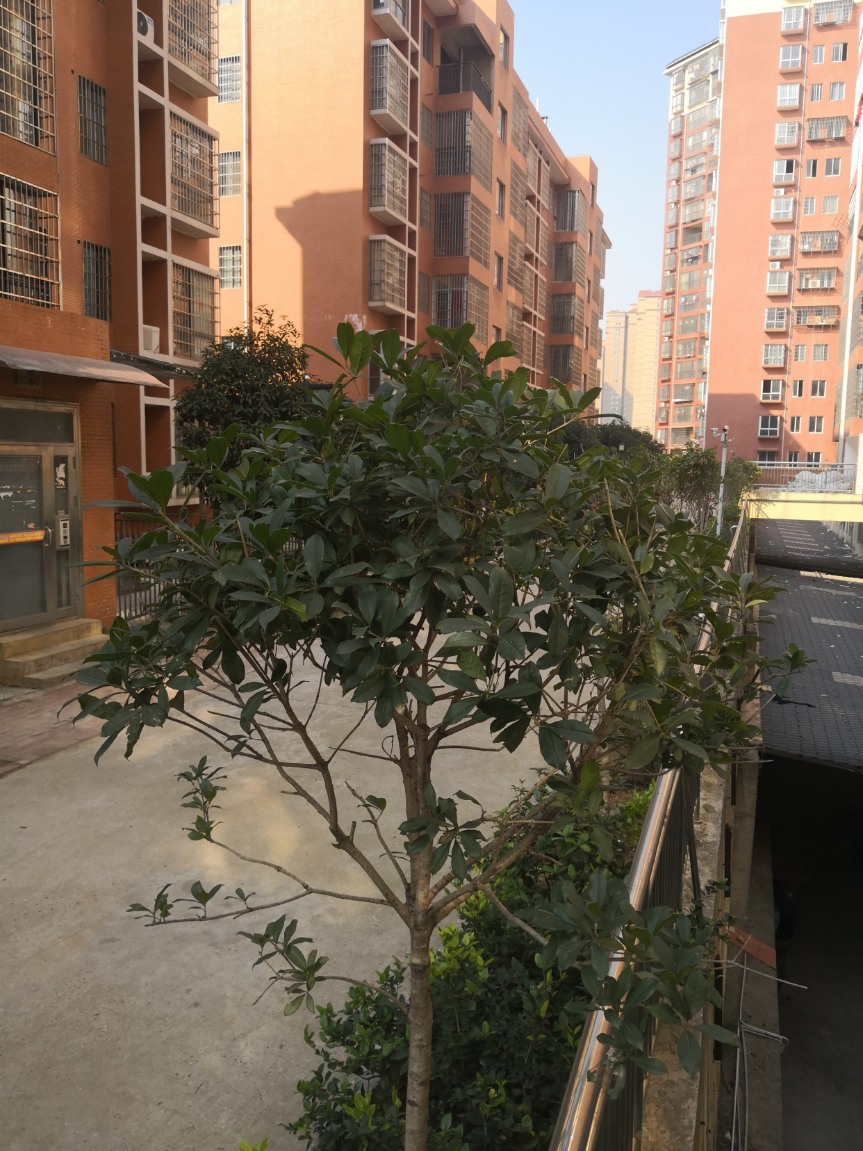 找明星录制结婚祝福语视频 结婚明星祝福vcr