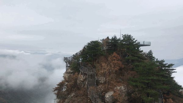 壮观!黄柏山·狮子峰惊现云海仙境,美出新高度