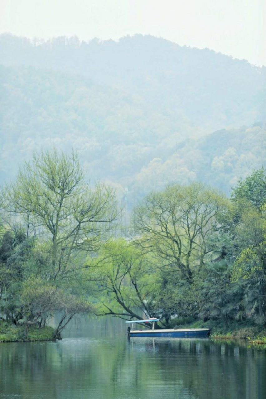 万物皆可云 杭州的春天烟雨朦胧.这样的"云旅游"地点大家喜欢吗?