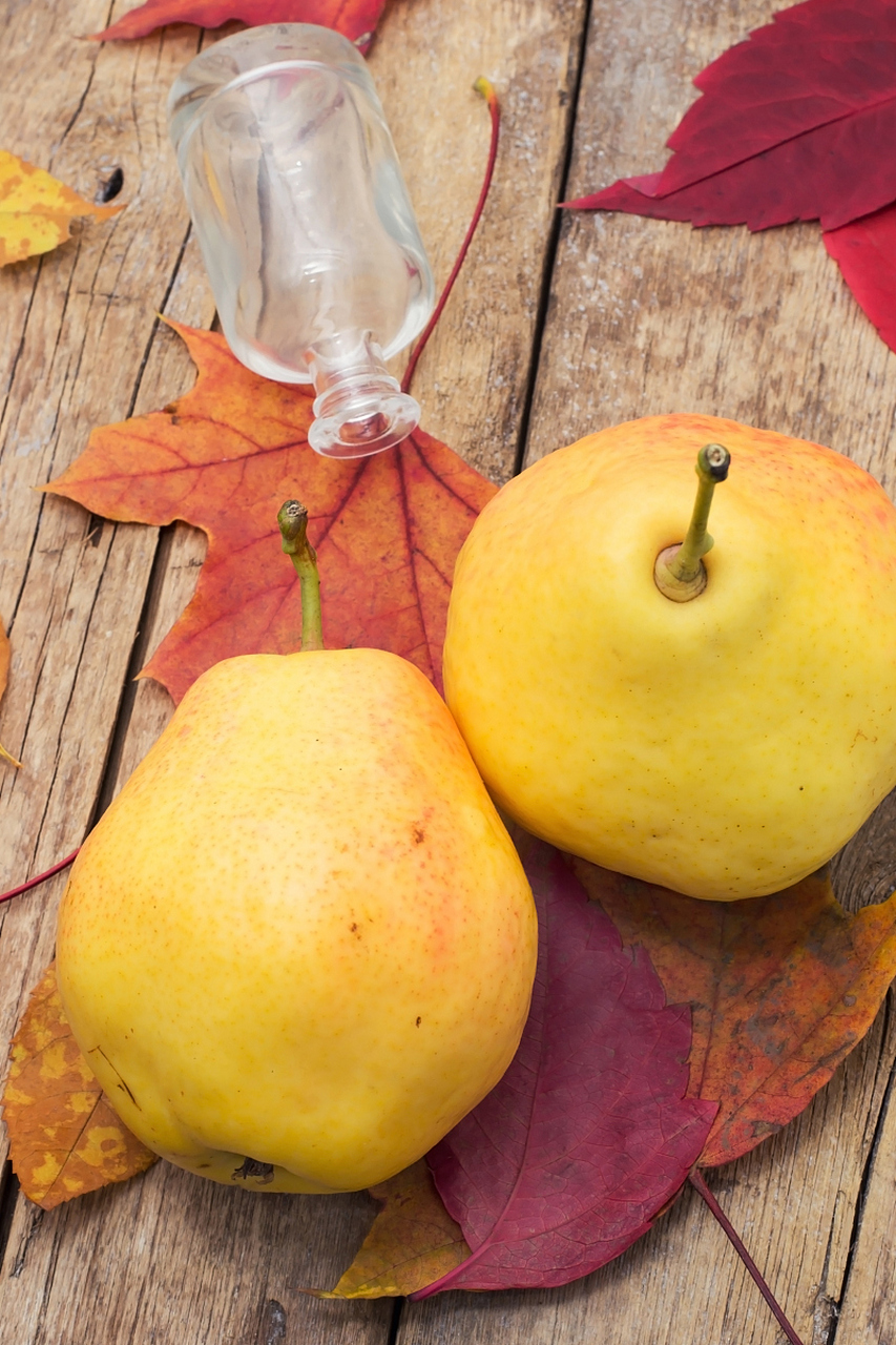 木瓜梨,这个充满异国风情的小果子,不仅美味可口,还拥有丰富的营养