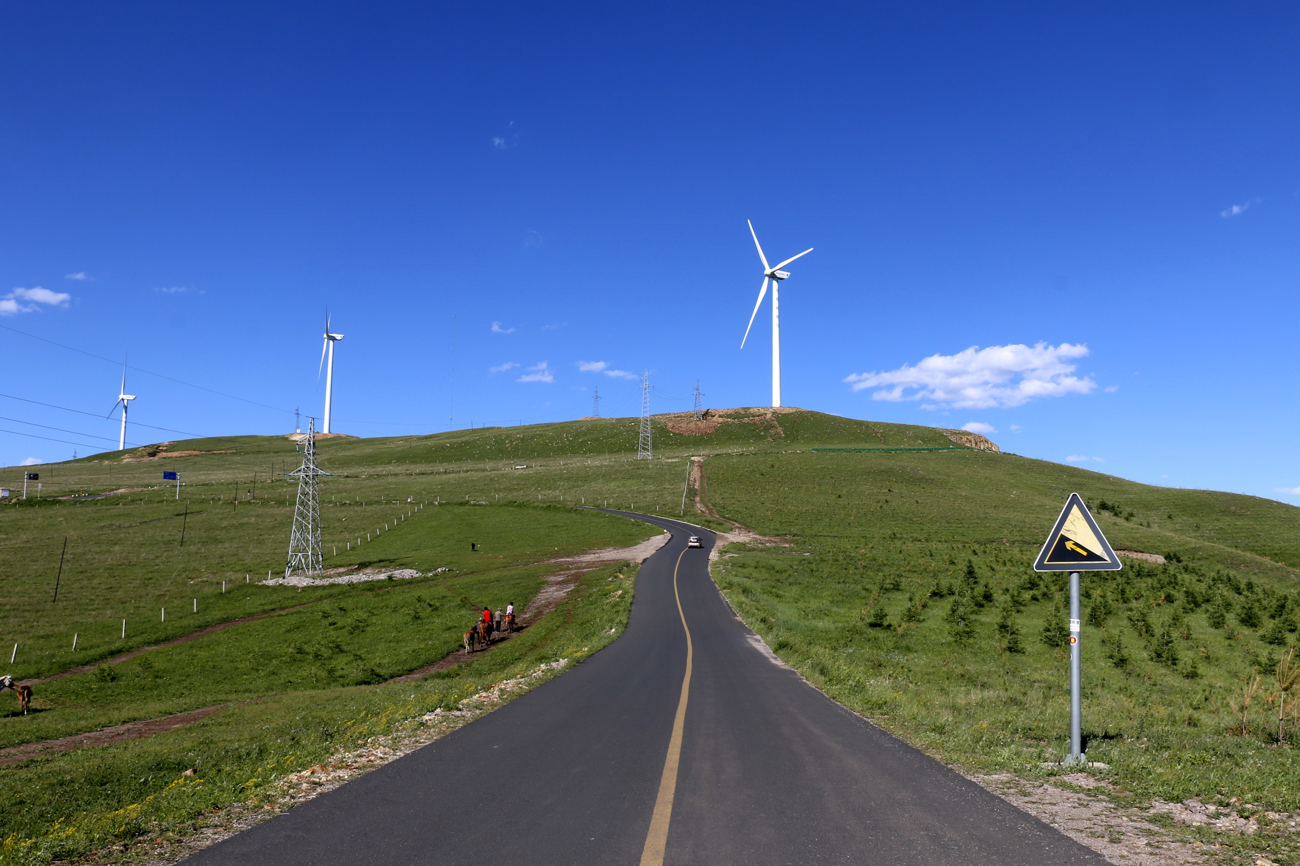 这四个景区先后免去了门票,游人任意参观,你会想去玩一次吗?