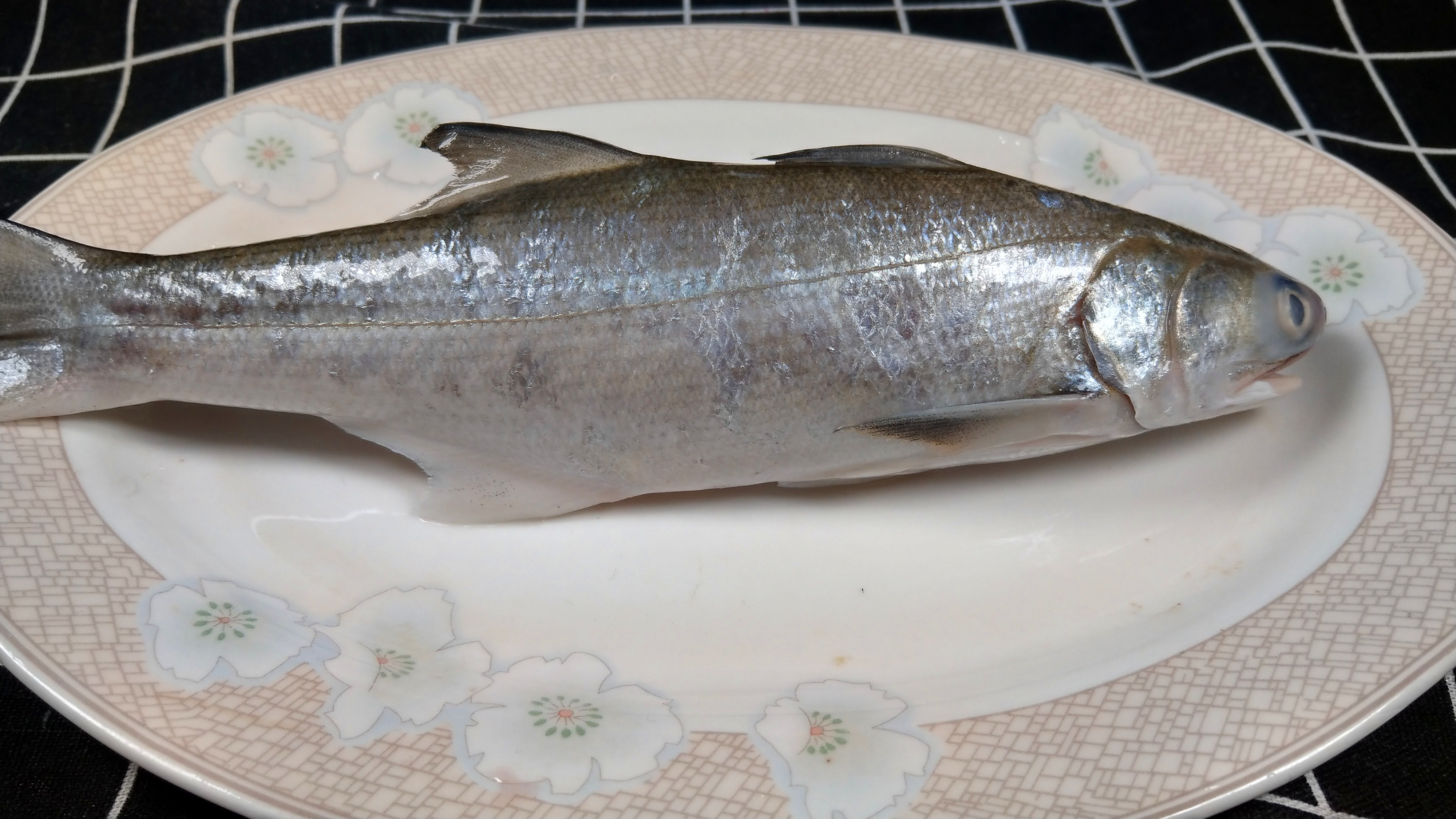 午鱼的脂肪含量为10%,比一般的鱼类要高出许多,蛋