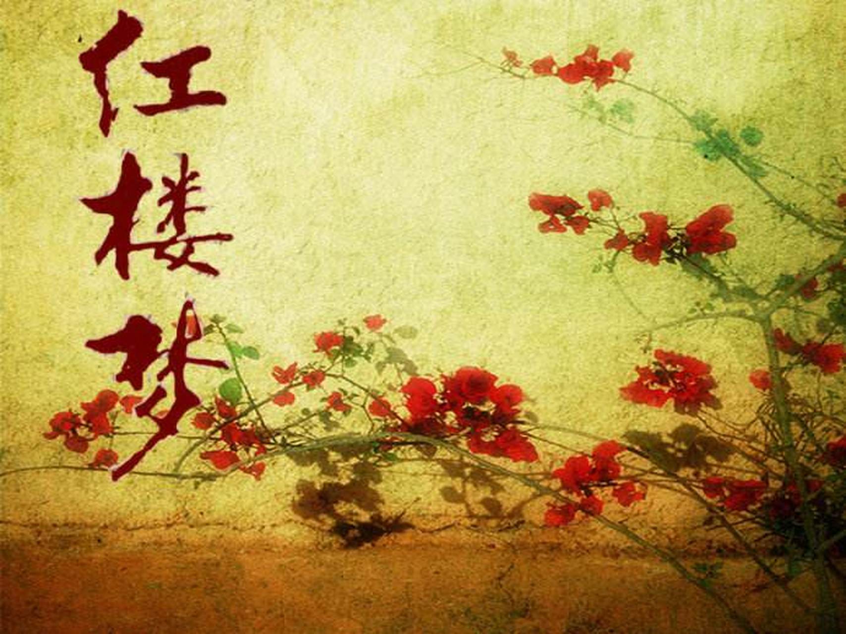 朝代说#每天了解点历史冷知识:【红楼梦倒着写会怎样】贾宝玉本是