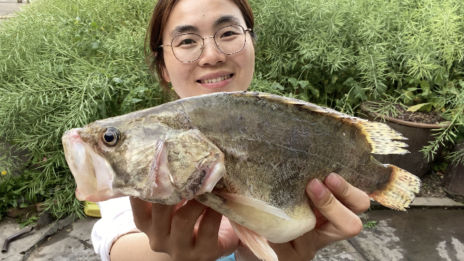 小马跟大厨学做红烧鱖鱼,真所谓桃花流水鳜鱼肥,这样做太鲜美了