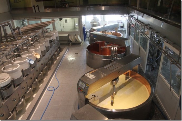 奶酪是用牛奶浓缩出来的,是真的吗?看到制作过程,网友:涨知识