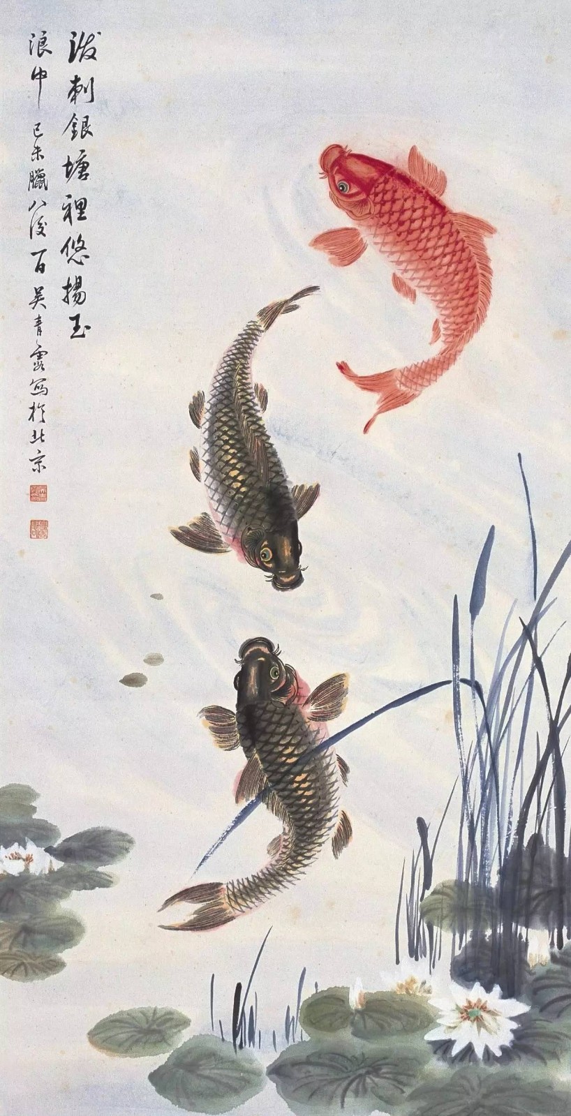 青出于蓝 霞光万丈--转"常州女将军"大画家吴青霞的"锦鲤"